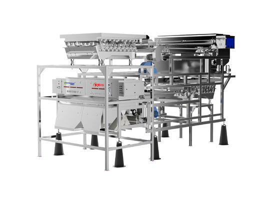 品質  Customized Fruit Sorting Machine Belt Type 1.0-1.5T/H Blueberry Color Sorter 工場