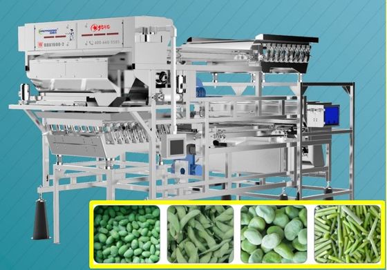 Frozen Edamame Vicia Faba Color Sorter Remote Control Belt Type
