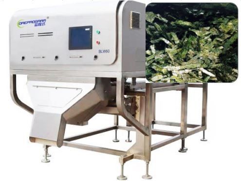 Noriの海藻野菜分類機械1-3T/H Wolfberry色の選別機