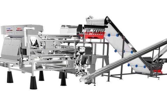 Intelligent Deep Self-Learning Infrared Belt - Type Nut Color Sorter 4 - 7 t/h